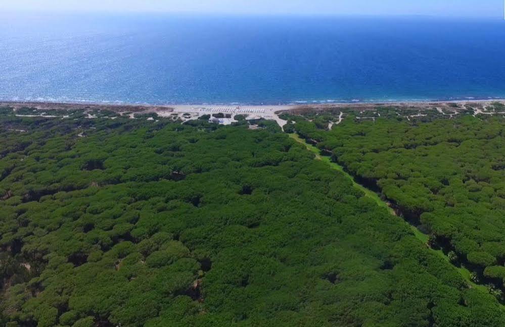 Hotel Fortezza Arborea Eksteriør billede